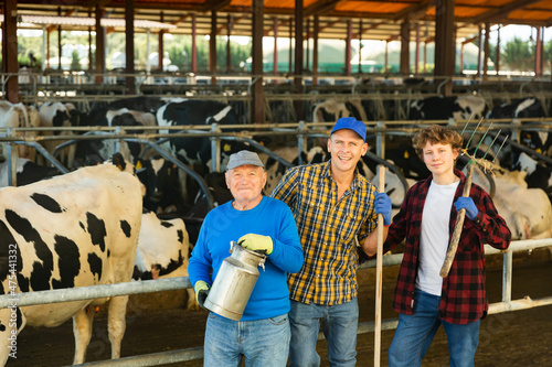 Portrait of positive experienced elderly cow breeder with adult son and teenage grandson posing in outdoor cowshed on sunny day. Farmer dynasty