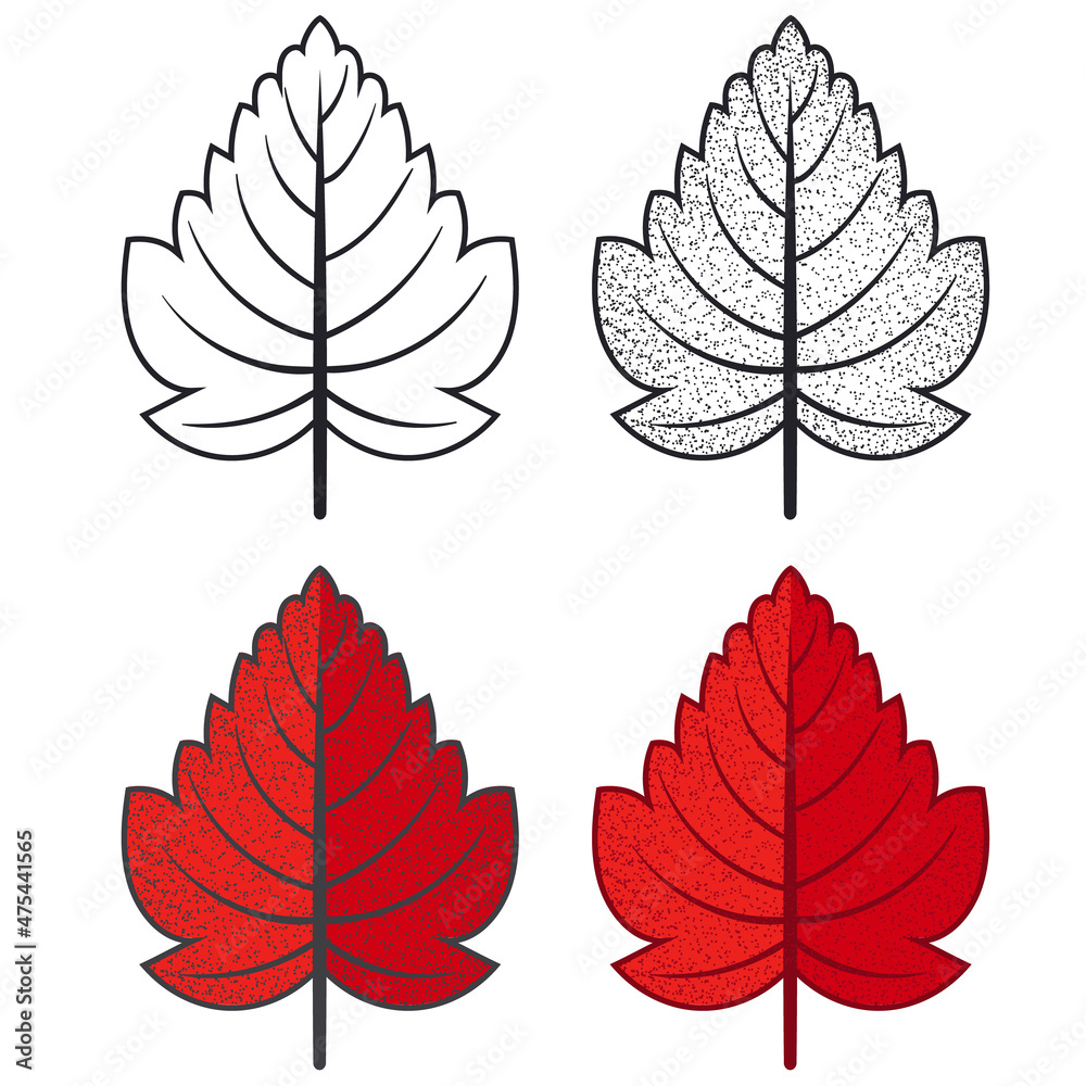 Fototapeta premium Colorful hand drawn autumn leaves. Hand draw leaves collection 05. Autumn leaf vector illustration.