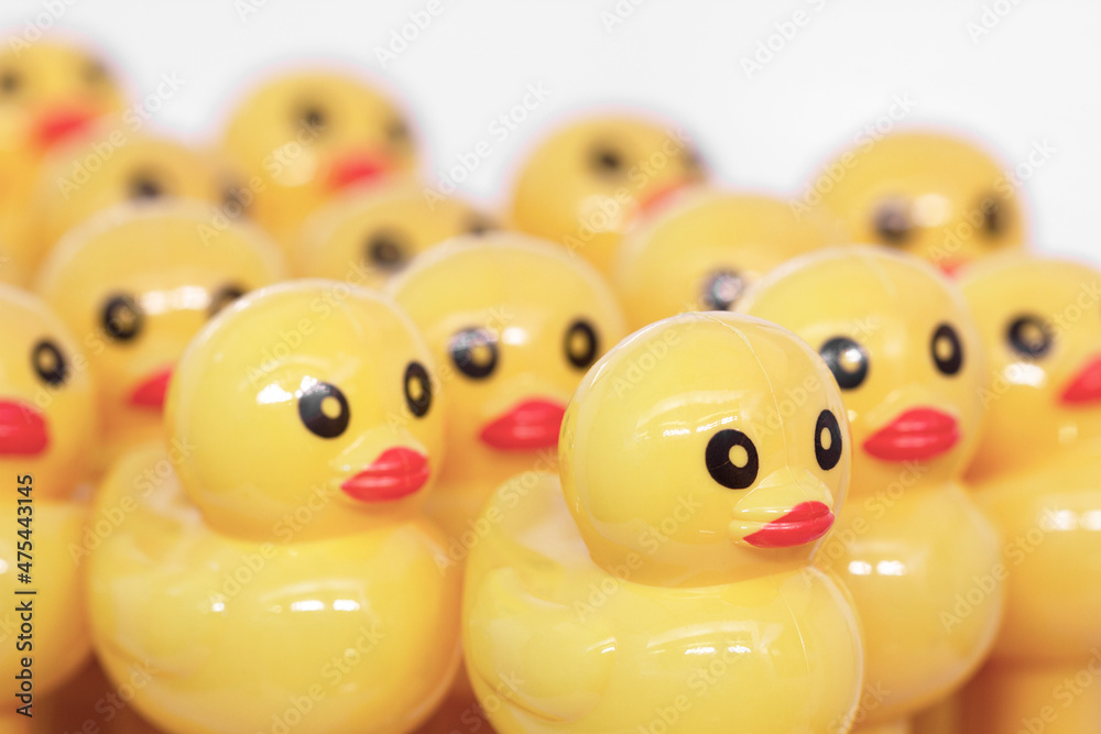 Yellow Duck Baby Toy White Background Yellow Duck Baby Toy White Background