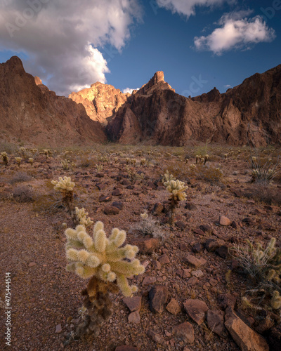 USA, Arizona, Kofa National Wildlife Area. Mountain and desert landscape at sunrise. photo