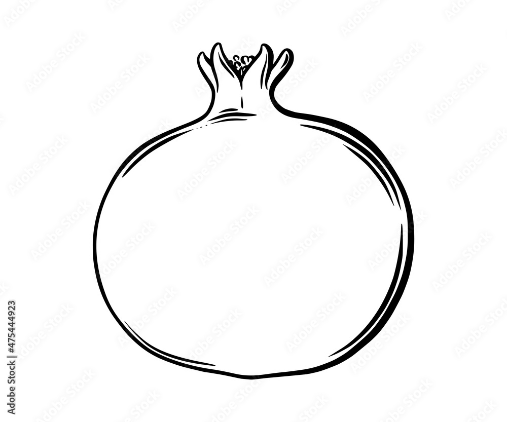 Pomegranate fruit side view. Colored exotic pomegranate fruit. Vector illustration isolated in white background Pomegranate fruit side view. Colored exotic pomegranate fruit. Vector illustration isolated in white background