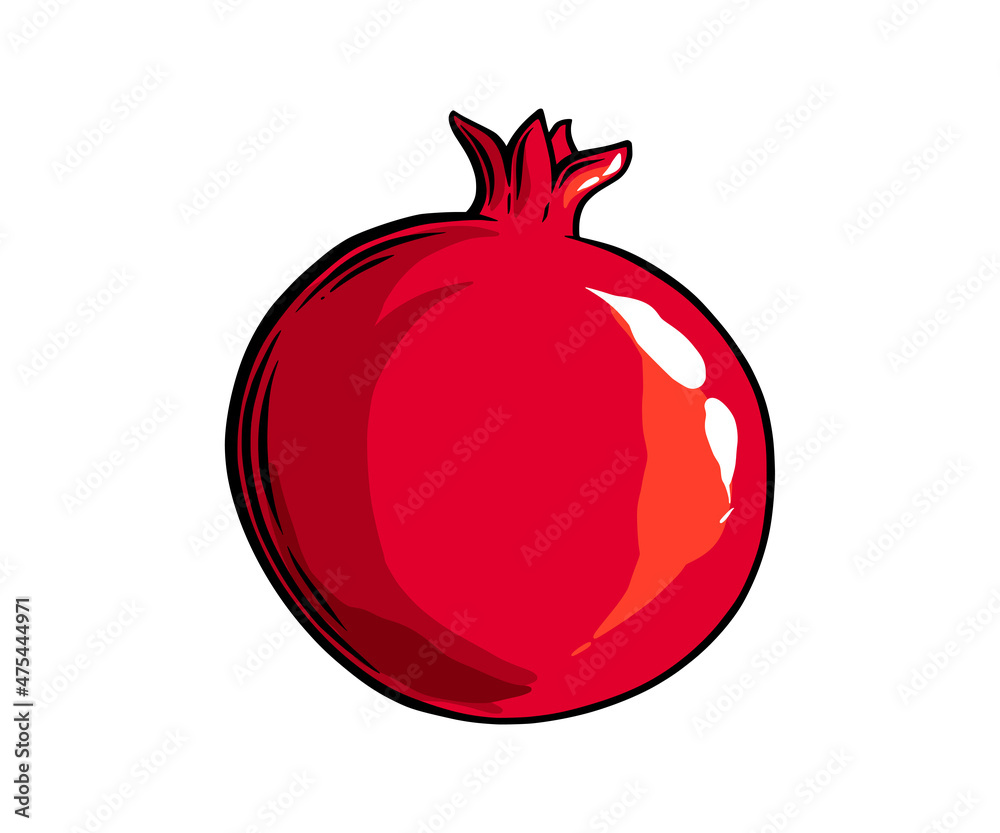 Pomegranate fruit side view. Colored exotic pomegranate fruit. Vector illustration isolated in white background Pomegranate fruit side view. Colored exotic pomegranate fruit. Vector illustration isolated in white background