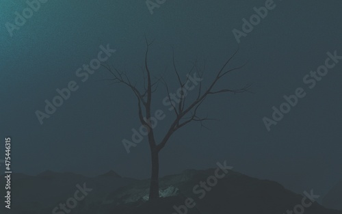 霧の中の木 © eo