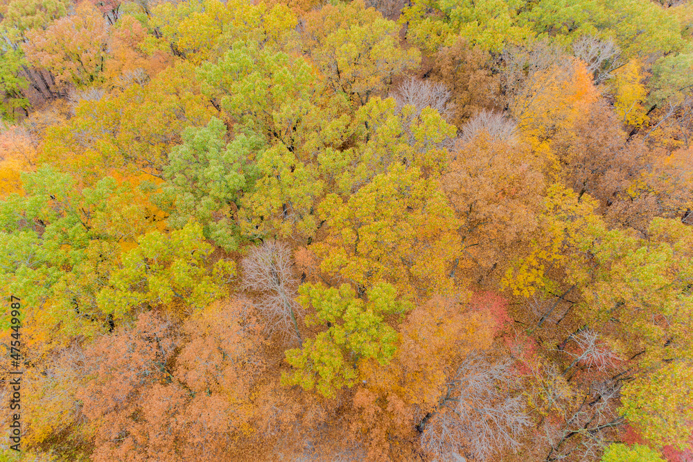 Aerial view of fall color, Marion County, Illinois Aerial view of fall color, Marion County, Illinois