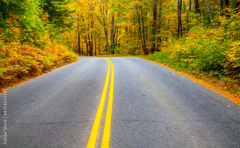 USA, Maine, Highway 113 lined by Maple and Birch trees in full Autumn color