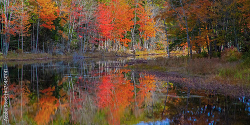 USA, New England, Maine, Lake with Fall colors reflected in calm water
