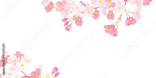 桜　背景イラスト