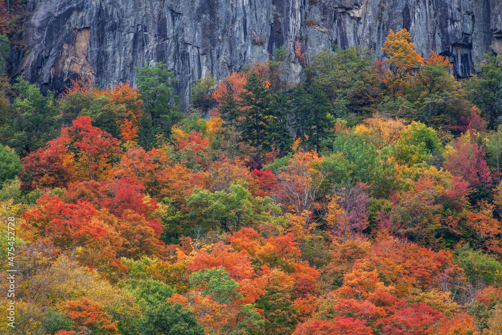 USA, New Hampshire, New England Crawford Notch Sate Park along highway 302 in Fall color
