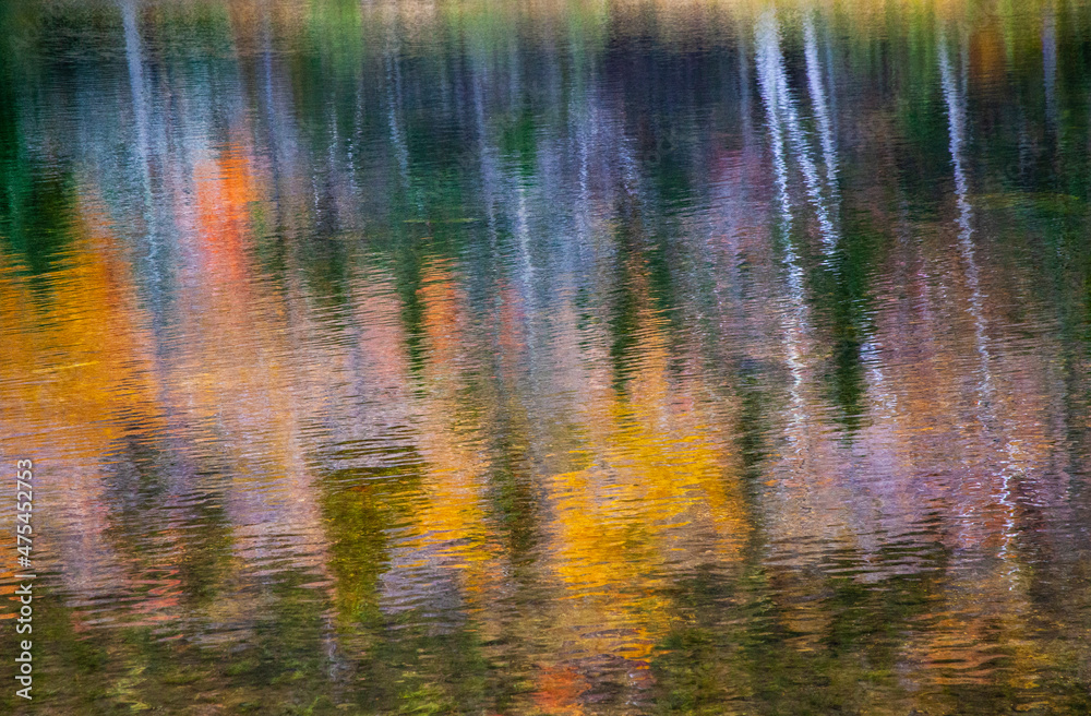 USA, New Hampshire, New England Fall colors reflected in the waters of the Saco River Crawford Notch State Park