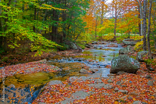 USA, New Hampshire, New England, Jackson small stream surrounded in Fall color photo