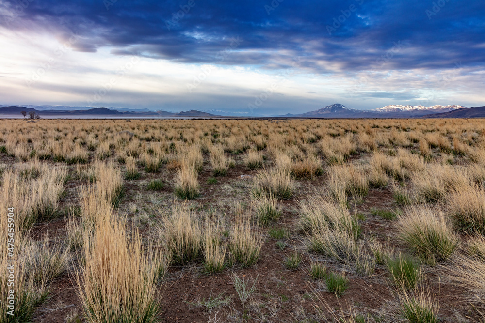 High desert grasslands near Alvord Lake and Pueblo Mountains near Fields, Oregon, USA High desert grasslands near Alvord Lake and Pueblo Mountains near Fields, Oregon, USA