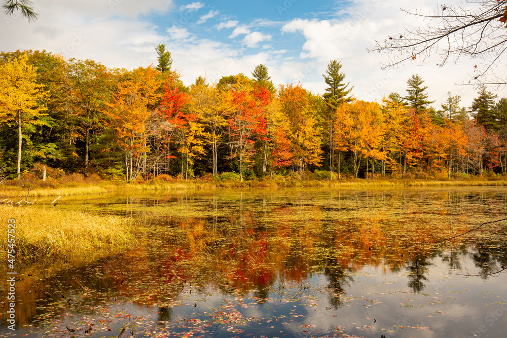 Naklejka premium Brilliant fall foliage around Morey Pond in Wilmot, New Hampshire.