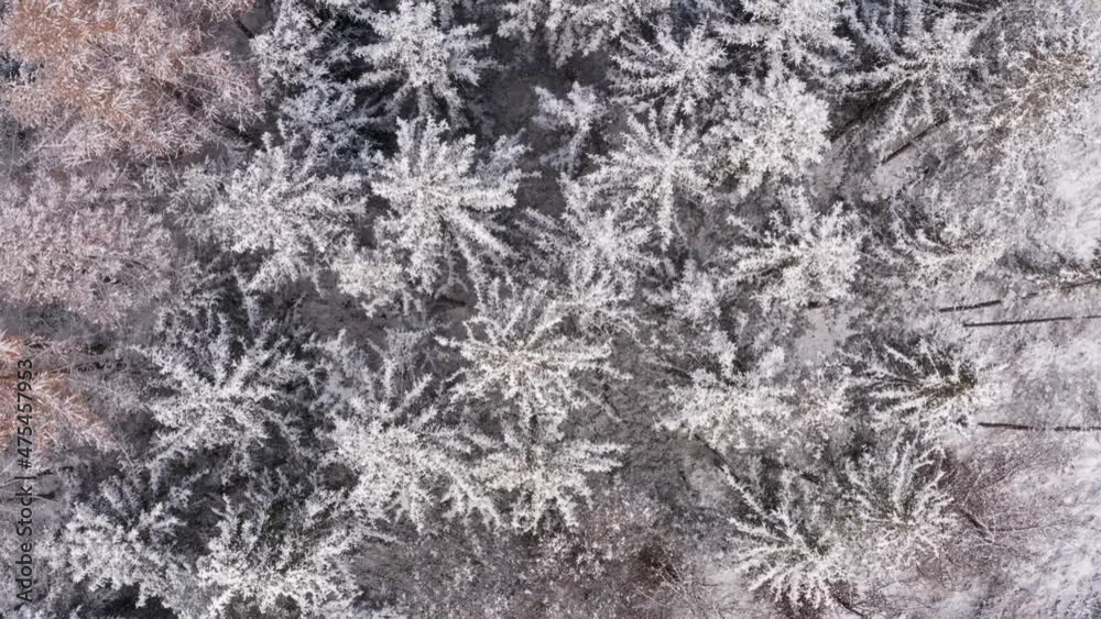 Slow flight about a white snow covered forest in low height, top down drone shot. Slow flight about a white snow covered forest in low height, top down drone shot.