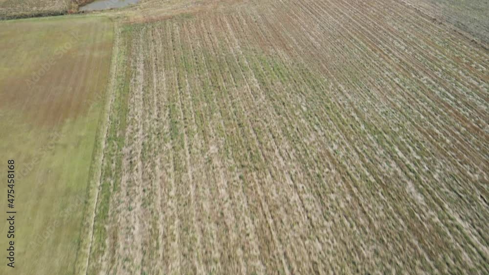 Establishing aerial Agricultural fields tiled in Burgaw, North Carolina Establishing aerial Agricultural fields tiled in Burgaw, North Carolina