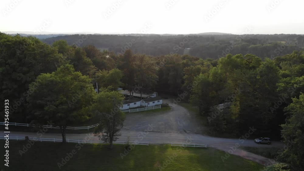 Car passes as drone ascends to reveal lake and mountains behind trees (60fps)