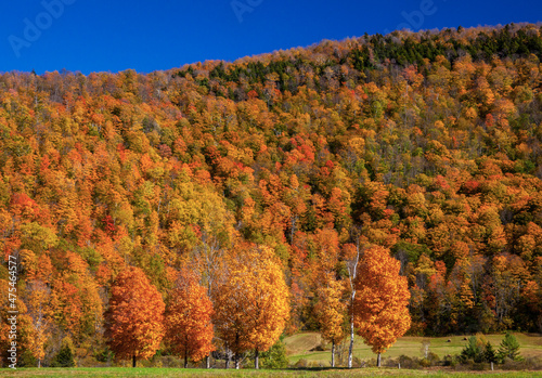 USA, New England, Vermont, Fall