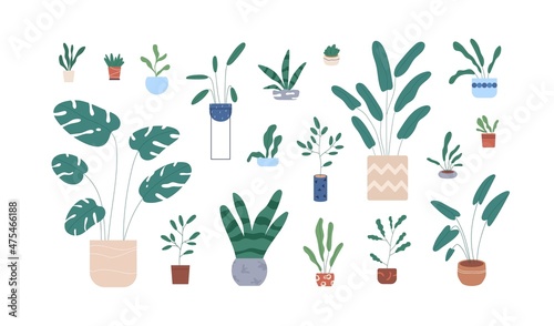 Potted house plants set. Houseplants growing in planters, flowerpots. Indoor home and office green decoration. Modern foliage interior decor. Flat vector illustration isolated on white background