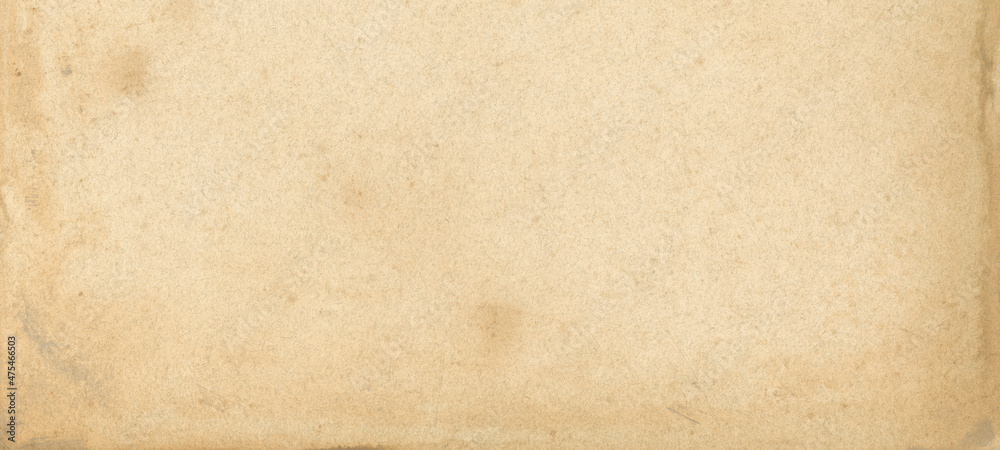 Fototapeta premium Old parchment paper. Banner texture