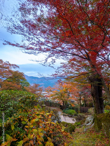 Autumn leaves in a park (Gora, Hakone, Kanagawa, Japan)