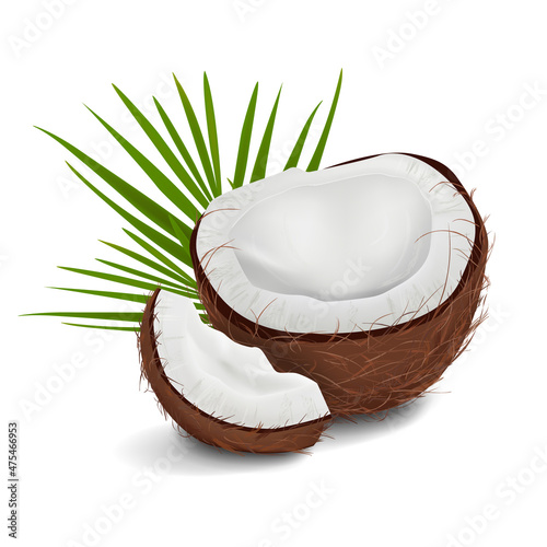3D realistic vector illustration of coconut. Сoco set pieces with palm leaves isolated on white