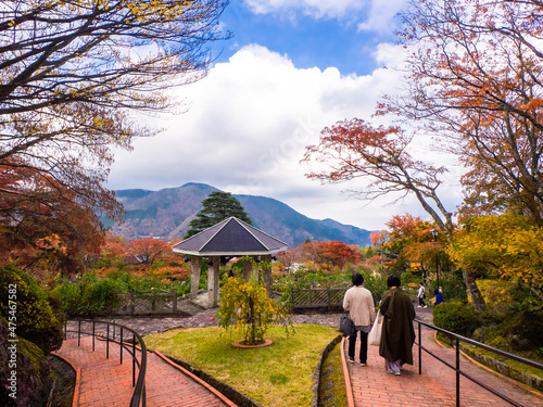 Park with autumn leaves (Gora, Hakone, Kanagawa, Japan) photo