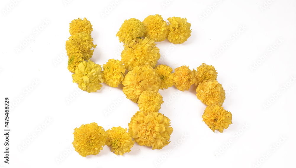 Yellow flowers of Marigold isolated on white background. Yellow flowers of Marigold isolated on white background.