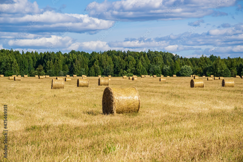 a field with straw bales