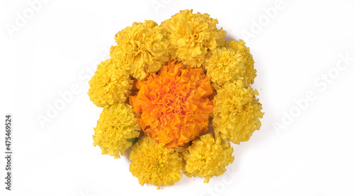 Yellow flowers of Marigold isolated on white background.