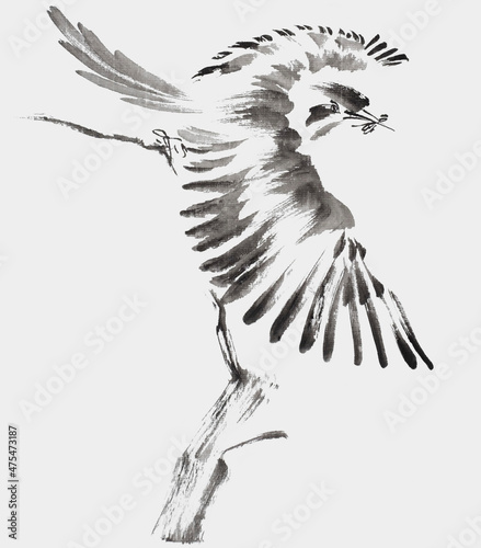 Fototapeta Naklejka Na Ścianę i Meble -  Gotcha (bird with spreaded wings starting to fly from a branch, got an insect in its beak, painted with ink on xuan paper, oriental style)