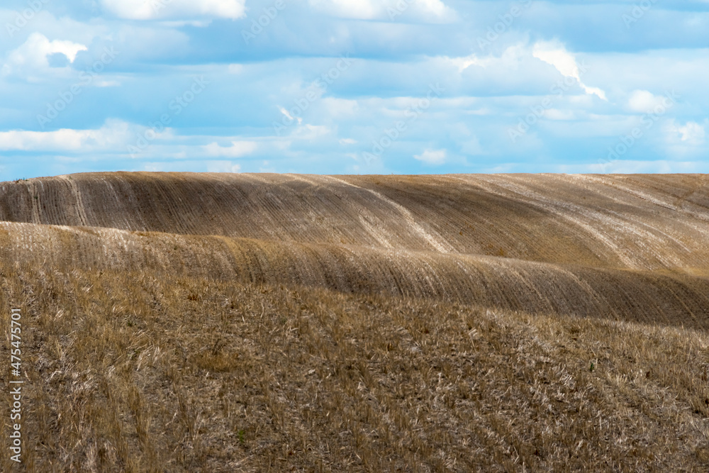 Tracks on wheat field in eastern Washington State, USA