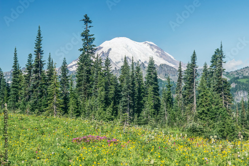 Washington State, Mt. Rainier National Park, Wildflowers and Mt. Rainier © Danita Delimont