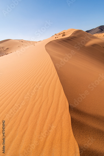 sand dune of the moroccan sahara