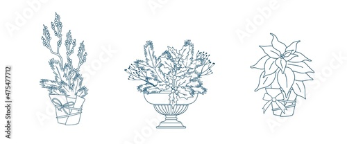 Natural forest bouquets pots and vases set for Christmas decoration. Floral arrangements. Evergreens, conifers, berries, leaves, thorns, cones. Vector outline  illustration