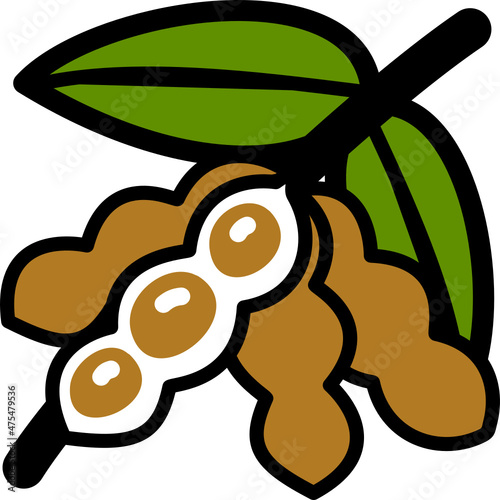 soybean soy icon