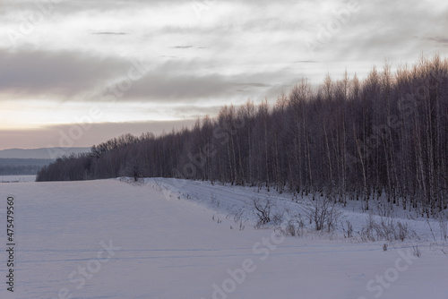 Gray sunset or sunrise with a field in snow and trees.