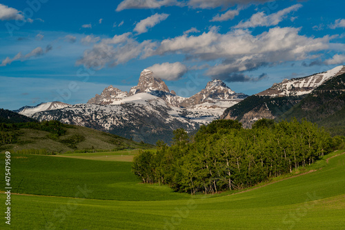 Agricultural field in Spring and Teton Mountains from the west