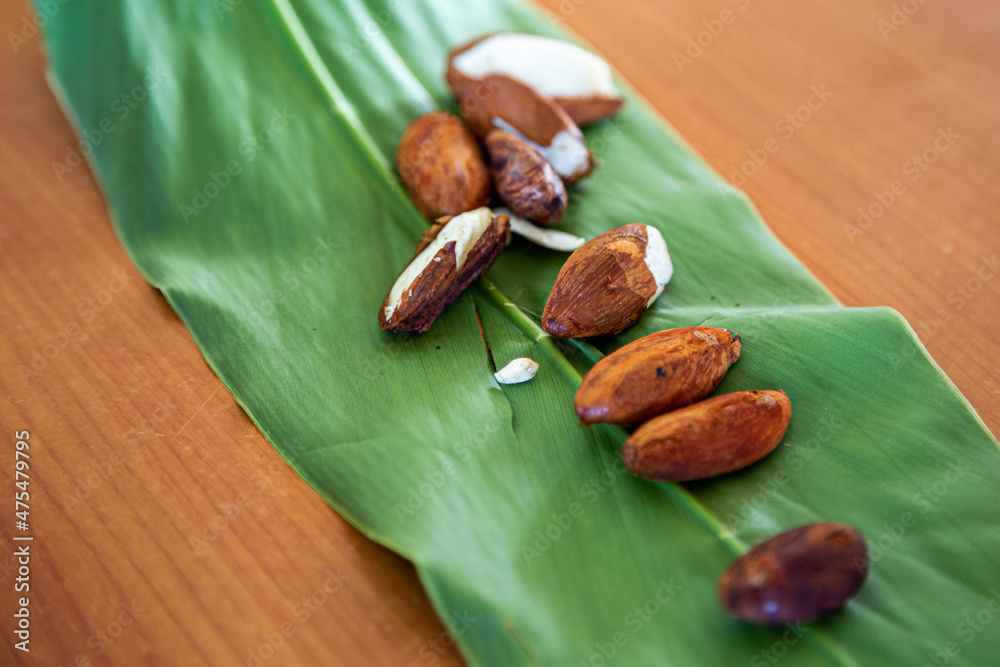 Fresh ngali nuts (galip nuts) from the Solomon Islands. - obrazy, fototapety, plakaty 