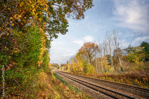 Railroad going through an autumn colored landscape