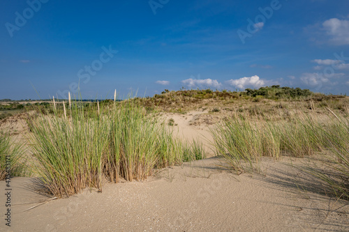 Fototapeta Naklejka Na Ścianę i Meble -  De Panne