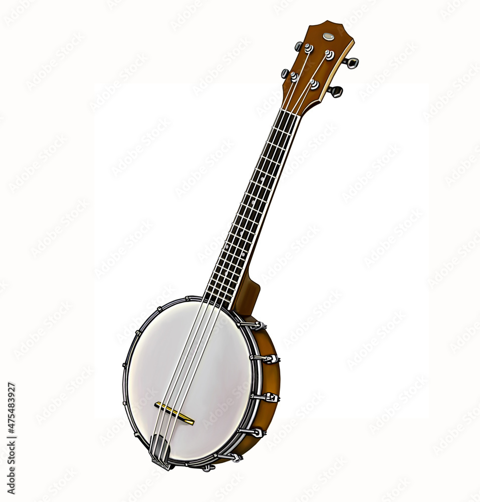 banjo, stringed plucked musical instrument - obrazy, fototapety, plakaty 