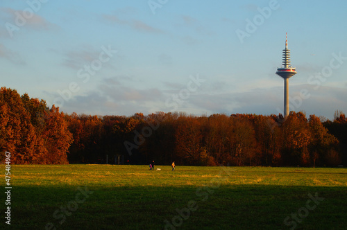 Autumn atmosphere in Niddapark, Frankfurt. photo