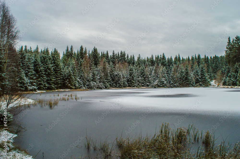 frozen lake in snow covered forest in december
