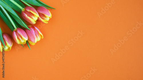 Tulips on orange background. Greeting card. 8 March Happy Women's Day. Mother's day. Flat lay. Place for text. Spring. 
