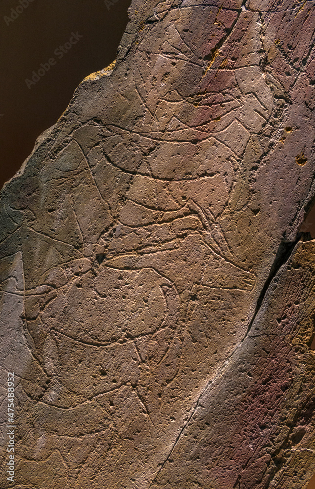 Gravures rupestres à Vila Nova de Foz Côa, Beira Alta, Portugal Stock