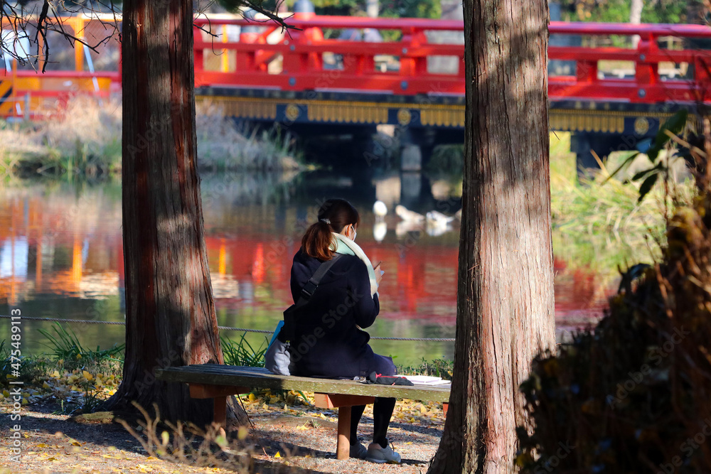 Young student girl siting on a bench near the lake texting. 冬の日、コートを着た若い女子学生が赤い橋の架かる池の畔でスマホを操作する姿。 Young student girl siting on a bench near the lake texting. 冬の日、コートを着た若い女子学生が赤い橋の架かる池の畔でスマホを操作する姿。