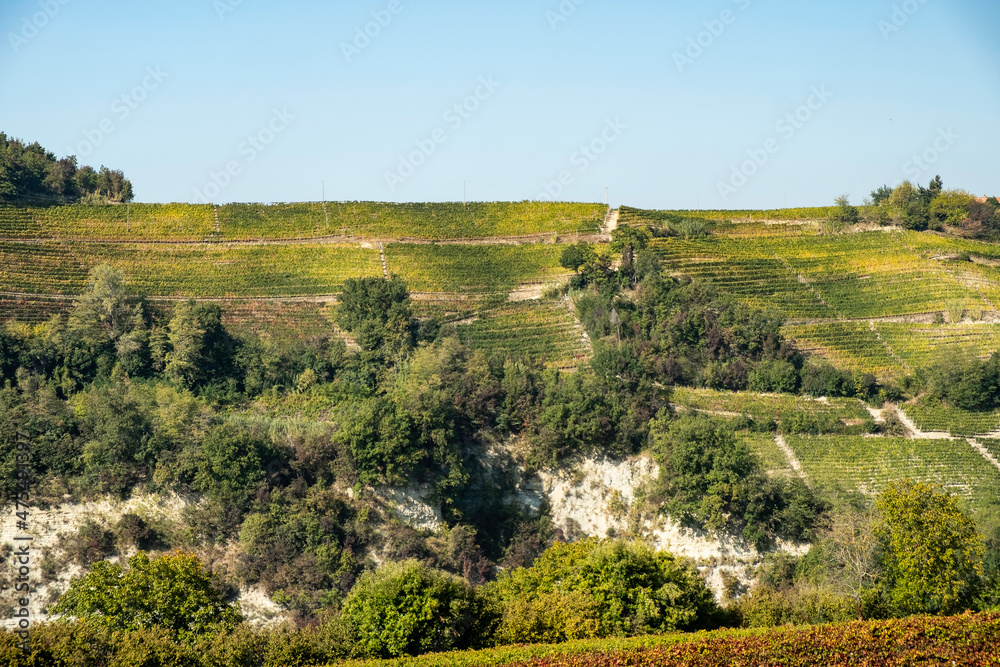 The hills full of vineyards of Santo Stefano Belbo, the area of Muscat wine in Piedmont, immediately after the harvest in autumn