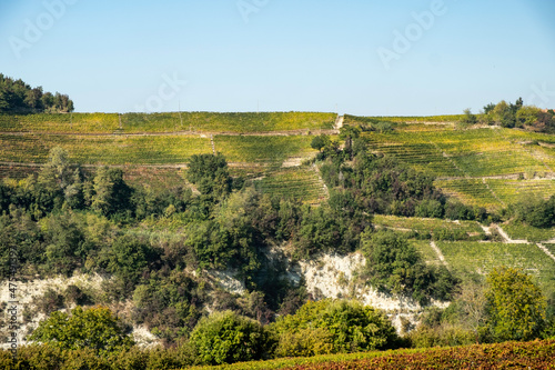 The hills full of vineyards of Santo Stefano Belbo, the area of Muscat wine in Piedmont, immediately after the harvest in autumn