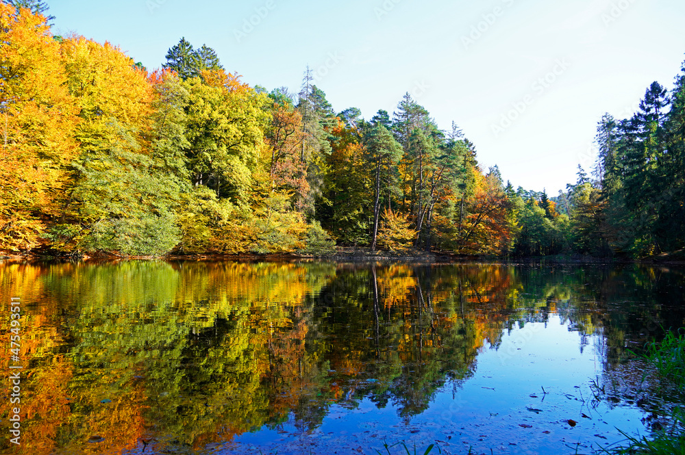 Autumn landscape with brightly colored leaves and reflections in the water. Small lake in nature.