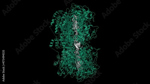 Crystal structure of the rabies virus nucleoprotein-RNA complex. Animated 3D cartoon model, PDB 2gtt, black background photo