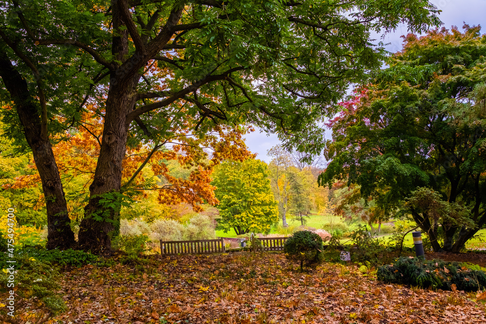 autumn in the park autumn in the park